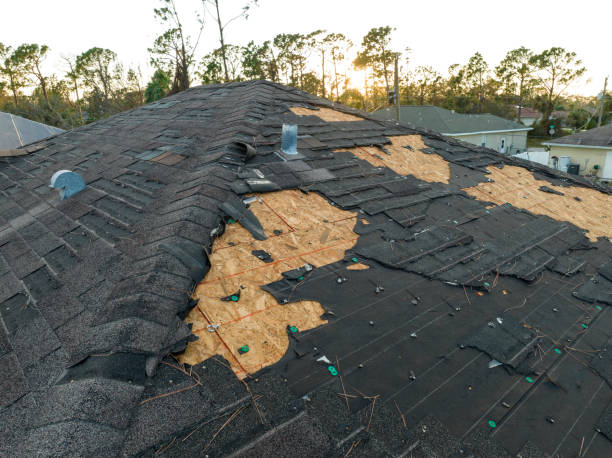 Best Roof Coating and Sealing  in Front Royal, VA
